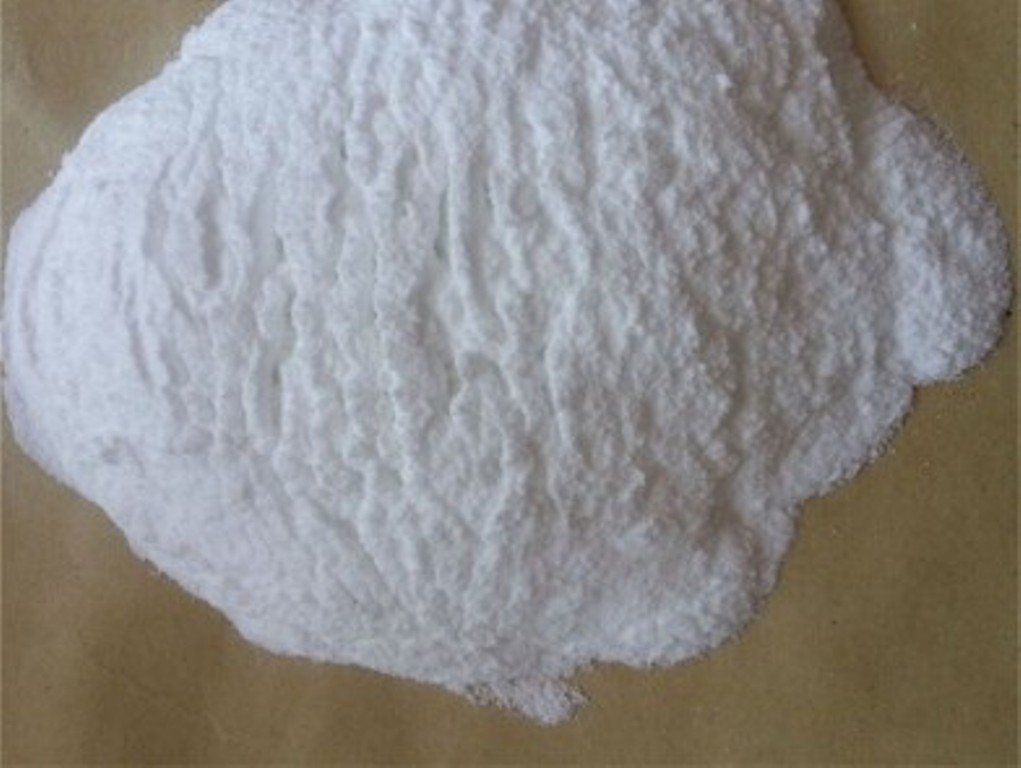 Buy Serrapeptase powder
